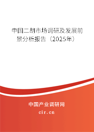 中國二胡市場調(diào)研及發(fā)展前景分析報告（2025年）