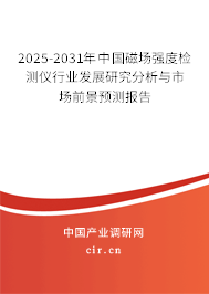 2025-2031年中國磁場強度檢測儀行業發展研究分析與市場前景預測報告