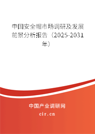 中國安全帽市場調研及發展前景分析報告（2025-2031年）