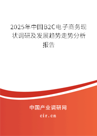 2025年中國B2C電子商務現狀調研及發展趨勢走勢分析報告