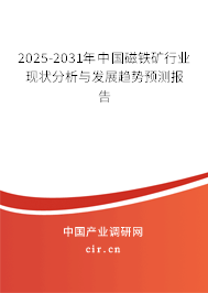 2025-2031年中國磁鐵礦行業現狀分析與發展趨勢預測報告