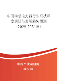 中國動感拉力器行業現狀深度調研與發展趨勢預測（2025-2031年）