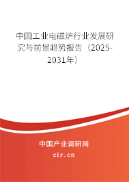中國(guó)工業(yè)電磁爐行業(yè)發(fā)展研究與前景趨勢(shì)報(bào)告（2025-2031年）