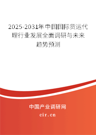 2025-2031年中國國際貨運代理行業發展全面調研與未來趨勢預測