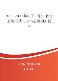 2025-2031年中國IT職業教育發展現狀與市場前景預測報告