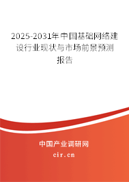 2025-2031年中國基礎網絡建設行業現狀與市場前景預測報告