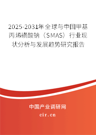 2025-2031年全球與中國甲基丙烯磺酸鈉（SMAS）行業現狀分析與發展趨勢研究報告