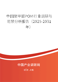 中國聚甲醛POM行業調研與前景分析報告（2025-2031年）