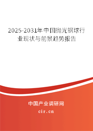 2025-2031年中國拋光鋼球行業現狀與前景趨勢報告