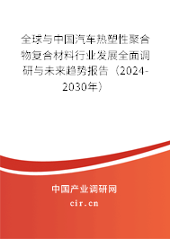 全球與中國汽車熱塑性聚合物復合材料行業發展全面調研與未來趨勢報告（2024-2030年）