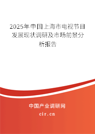 2025年中國上海市電視節目發展現狀調研及市場前景分析報告