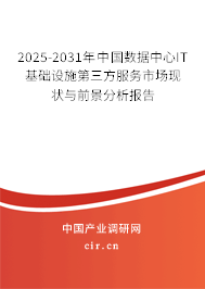 2025-2031年中國數據中心IT基礎設施第三方服務市場現狀與前景分析報告