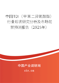 中國TDI（甲苯二異氰酸酯）行業現狀研究分析及市場前景預測報告（2025年）