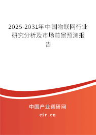 2025-2031年中國物聯網行業研究分析及市場前景預測報告