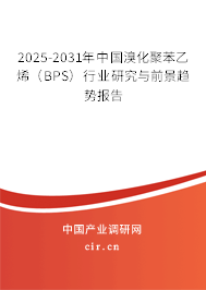 2025-2031年中國溴化聚苯乙烯（BPS）行業(yè)研究與前景趨勢報告