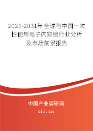 2025-2031年全球與中國一次性使用電子內窺鏡行業分析及市場前景報告