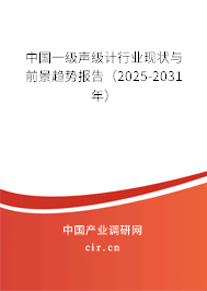 中國一級聲級計行業現狀與前景趨勢報告（2025-2031年）