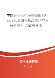 中國運營商電子渠道服務行業(yè)現(xiàn)狀調(diào)研分析及市場前景預測報告（2025年版）