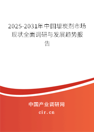 2025-2031年中國增炭劑市場現狀全面調研與發展趨勢報告