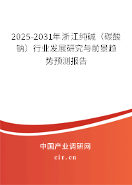2025-2031年浙江純堿（碳酸鈉）行業發展研究與前景趨勢預測報告