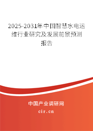 2025-2031年中國智慧水電運維行業(yè)研究及發(fā)展前景預(yù)測報告