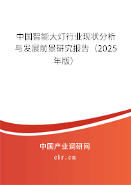 中國智能大燈行業(yè)現(xiàn)狀分析與發(fā)展前景研究報告（2025年版）