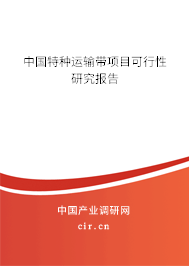 中國特種運輸帶項目可行性研究報告