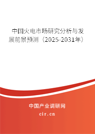 中國火電市場研究分析與發展前景預測（2025-2031年）