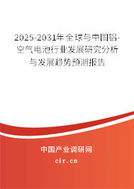 2025-2031年全球與中國(guó)鋁-空氣電池行業(yè)發(fā)展研究分析與發(fā)展趨勢(shì)預(yù)測(cè)報(bào)告