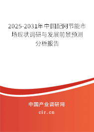 2025-2031年中國配網節能市場現狀調研與發展前景預測分析報告