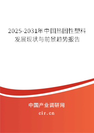 2025-2031年中國(guó)熱固性塑料發(fā)展現(xiàn)狀與前景趨勢(shì)報(bào)告