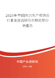2025年中國熱力生產和供應行業發展調研與市場前景分析報告