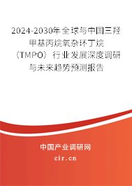2024-2030年全球與中國三羥甲基丙烷氧雜環丁烷（TMPO）行業發展深度調研與未來趨勢預測報告