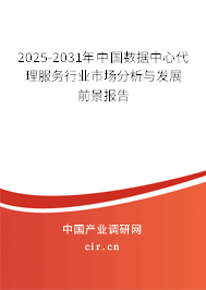 2025-2031年中國數據中心代理服務行業市場分析與發展前景報告