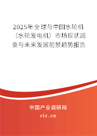 2025年全球與中國水輪機（水輪發電機）市場現狀調查與未來發展前景趨勢報告