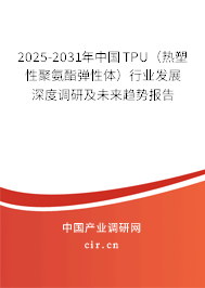 2025-2031年中國TPU（熱塑性聚氨酯彈性體）行業(yè)發(fā)展深度調(diào)研及未來趨勢報告