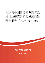 全球與中國五要素車載氣象站行業(yè)研究分析及發(fā)展前景預(yù)測報告（2025-2031年）