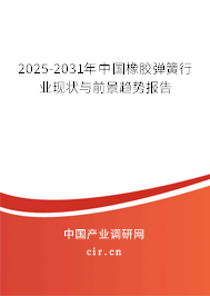 2024-2030年中國橡膠彈簧行業現狀與前景趨勢報告