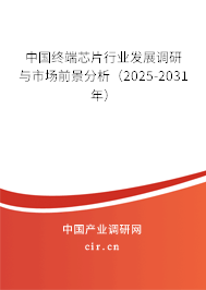 中國終端芯片行業發展調研與市場前景分析（2025-2031年）