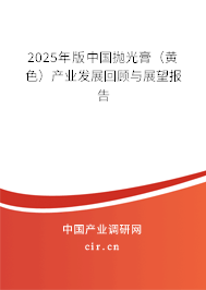 2023年版中國拋光膏（黃色）產(chǎn)業(yè)發(fā)展回顧與展望報告