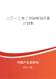 二〇一二年二甲醚項目商業計劃書