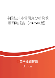 中國柱頭市場研究分析及發展預測報告（2025年版）