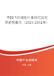 中國飛輪儲能行業研究及前景趨勢報告（2025-2031年）