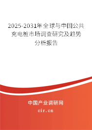 2025-2031年全球與中國公共充電樁市場調查研究及趨勢分析報告