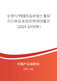 全球與中國硅晶體管行業研究分析及發展前景預測報告（2024-2030年）