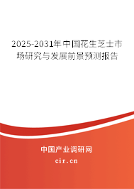 2025-2031年中國花生芝士市場研究與發展前景預測報告