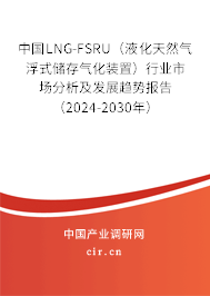 中國LNG-FSRU（液化天然氣浮式儲存氣化裝置）行業市場分析及發展趨勢報告（2024-2030年）