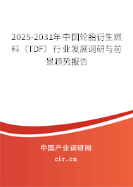 2025-2031年中國輪胎衍生燃料（TDF）行業發展調研與前景趨勢報告