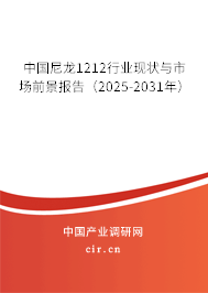 中國尼龍1212行業現狀與市場前景報告（2024-2030年）
