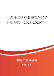 上海多晶硅行業研究與趨勢分析報告（2023-2029年）